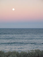 _and the full moon is still visible at dawn